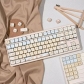 Sea Salt Bear 104+28 MOA Profile Keycap Set Cherry MX PBT Dye-subbed for Keyboard